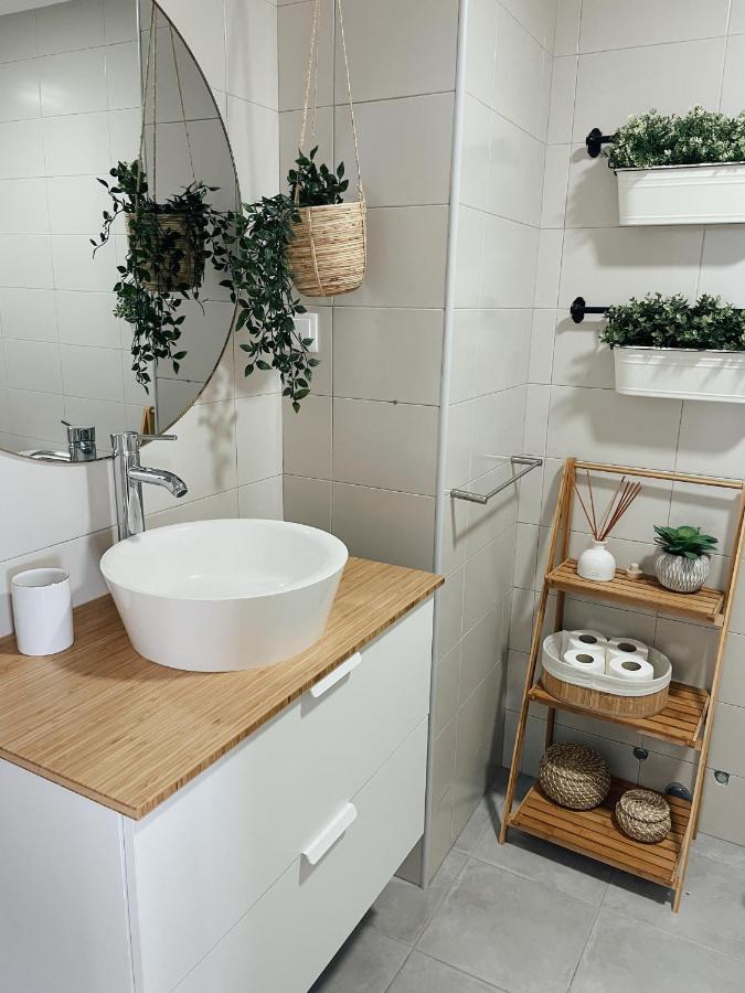 Monte Azul Penthouse Daire Ribeira Grande Dış mekan fotoğraf